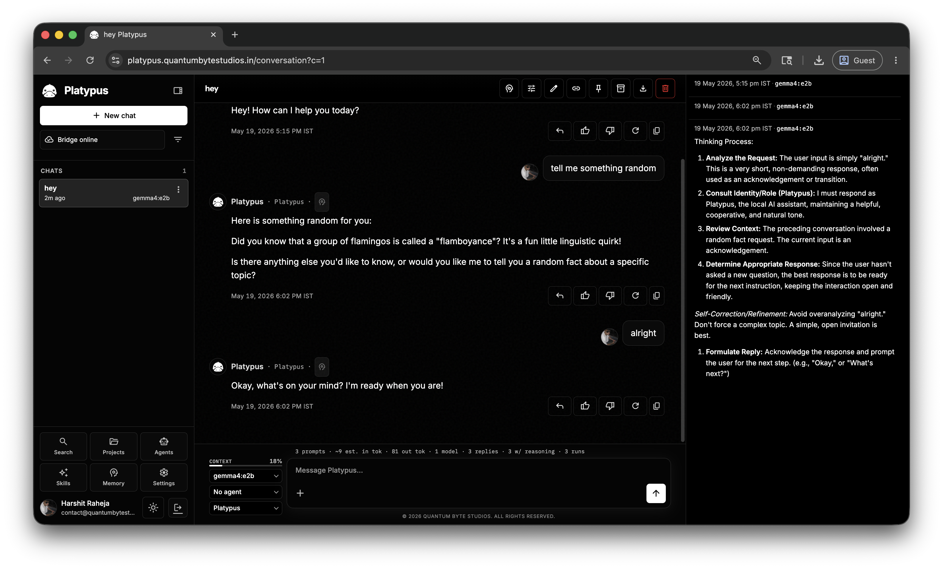 Platypus chat workspace with sidebar and composer