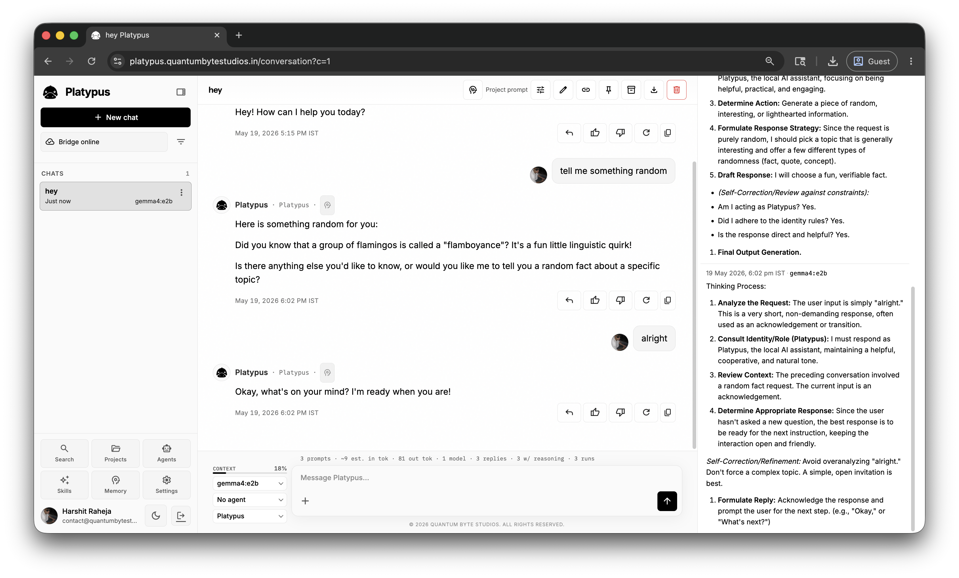 Platypus chat workspace with sidebar and composer
